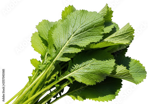 Fresh mustard greens isolated on transparent background
