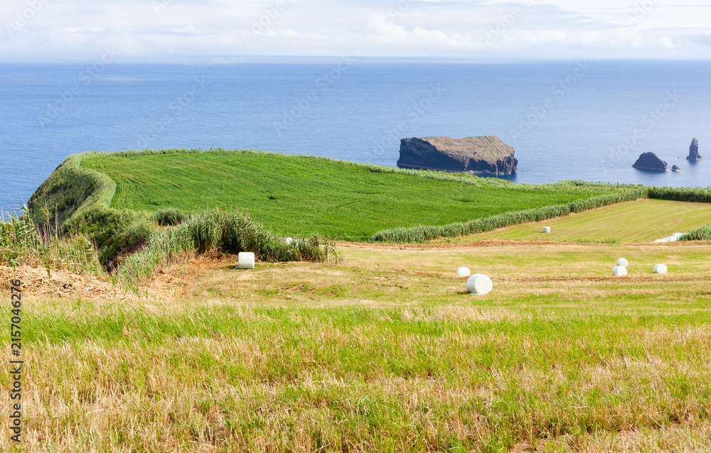 Fototapeta premium Atlantic Coast of San Miguel Island, Azores, Portugal. Green farmland with grazing cows. Rolling hills and ocean coastline in the background.