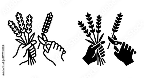 Lavender Harvesting Icons, Hand Pruning Floral Stems, Botanical Garden Illustration, Vector Art