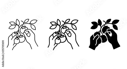 Hand Picking Berries, Fruit Harvest Icons, Organic Food Gathering Vector Set
