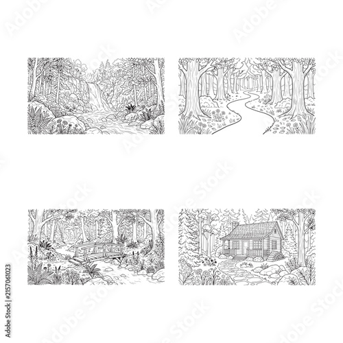 Detailed forest scenes with winding paths and a small cabin rendered as a vector illustration
