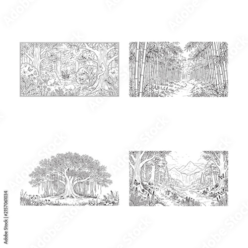Intricate floral ornament featuring forest scenes and bamboo groves rendered as a detailed vector illustration