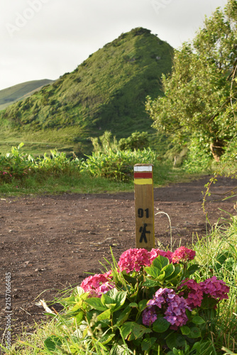 A hiking trail marker with colorful hydrangeas and a lush green volcanic peak in the background, Azores
