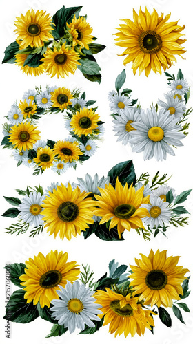 A collection of six different sunflowers each with a unique color and design arranged in a circular pattern