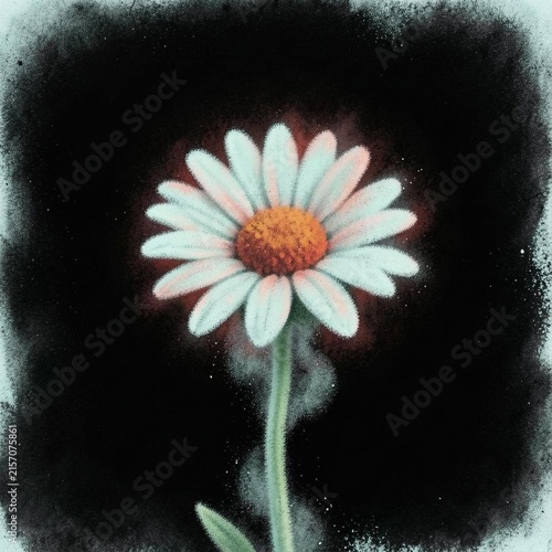White daisy flower with green leaves against a black background  