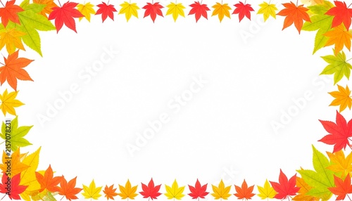 鮮やかに色づいた紅葉の葉が縁取る白い背景のフレーム素材
