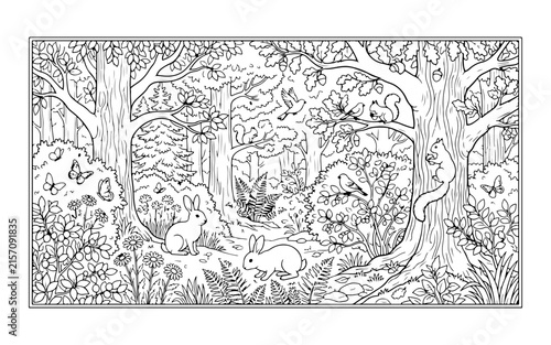 Forest animal silhouettes depict a deer fox bear and rabbit in linear style silhouette line artwork graphic