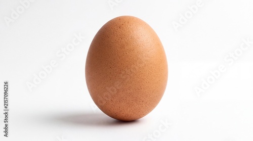 Single Brown Egg on White Background: A solitary, oval-shaped brown egg stands prominently against a clean white backdrop, highlighting its simple yet fundamental form.