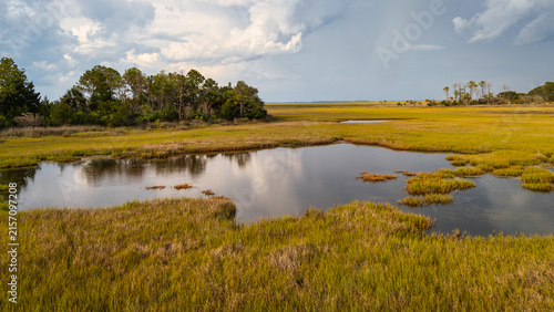 Drone view of lowcountry wetlands showing water and grass areas under a cloudy sky