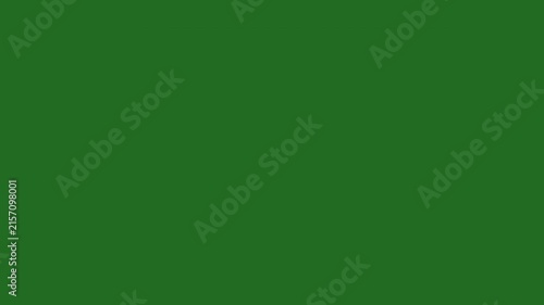 Glowing gold star sparkles burst, abstract light flare animation with twinkling particles on green screen, sparkling stars shine animation, starlight dust line, cinematic glitter explosion effect, 4k