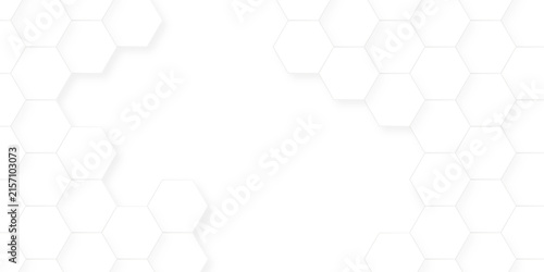 White Hexagonal Background. Luxury White Pattern. honeycomb mosaic white background. geometric mesh cell texture. modern futuristic wallpaper.