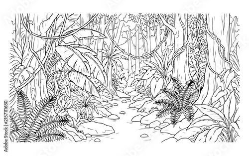 Jungle forest landscape with dense tropical plants and exotic vines coloring page vector.