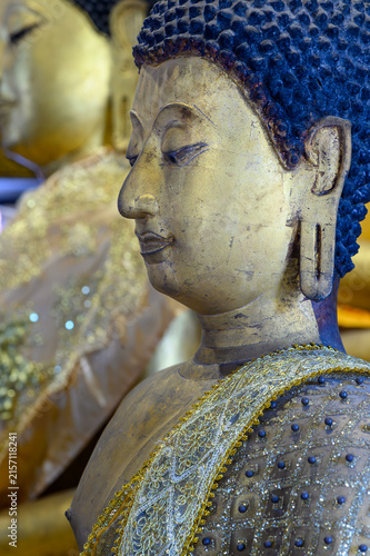 Buddha Statue in Profile Wearing Ornate Decorative Robe