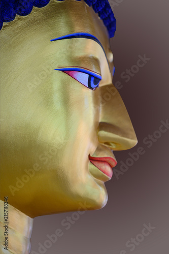 Golden Buddha Statue Profile with Serene Expression