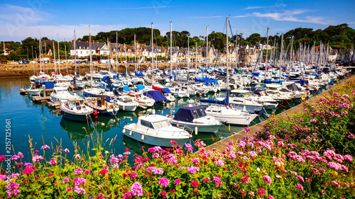 Scenic harbor with boats, yachts, and blooming flowers on a sunny day
