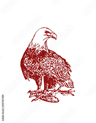 Red vector illustration of a standing turkey