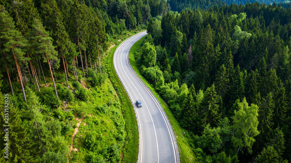Fototapeta premium Winding road through lush green forest with a passing car on a sunny day