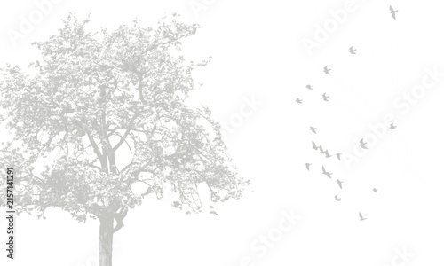Fotografía Minimalist white tree silhouette with flying birds, ethereal nature landscape on