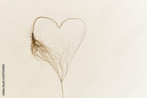 Root system growing into a heart shape roots and belonging concept