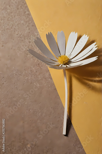 Minimal white daisy on geometric paper background with warm earthy tones and copy space