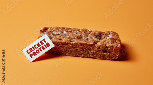 Exploring the World of Cricket Protein Bars