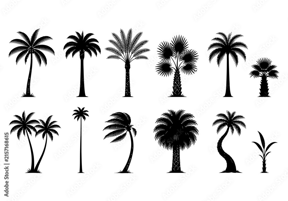 Naklejka premium Palm trees black silhouette set collection of tropical plants vector