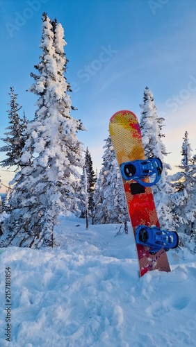 A bright snowboard. A beautiful winter landscape.
