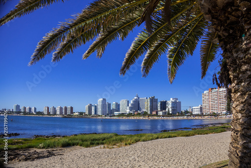 Playa Mansa, Punta del Este