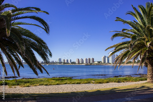 фотографія Playa Mansa, Punta del Este