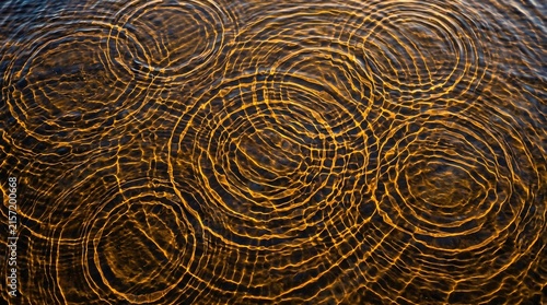 Water surface abstract - wind ripple interference circles in golden light.
