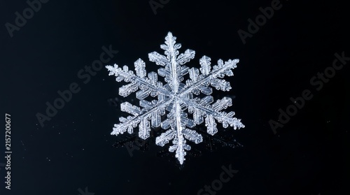 Microscopic snowflake on black glass - hexagonal crystal perfection macro.