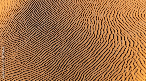 Sand dune ripple abstract from above - parallel curved shadow lines, Premium Nature Stock Photography Capture.