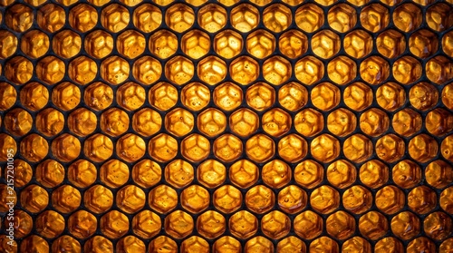 Backlit honeycombs in beehive - hexagonal amber wax cells, golden translucent, Ultra High-Definition Background Stock Image.