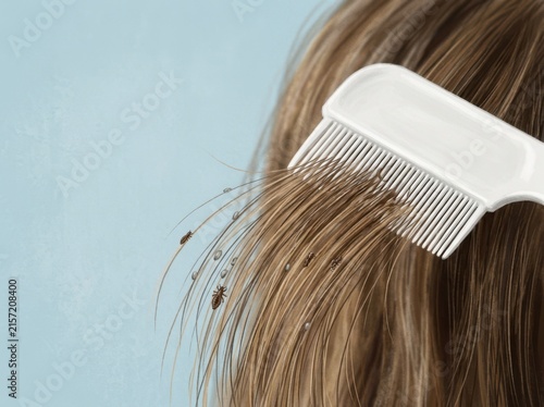 White nit comb brushing through brown hair with head lice and nits. Pediculosis treatment concept