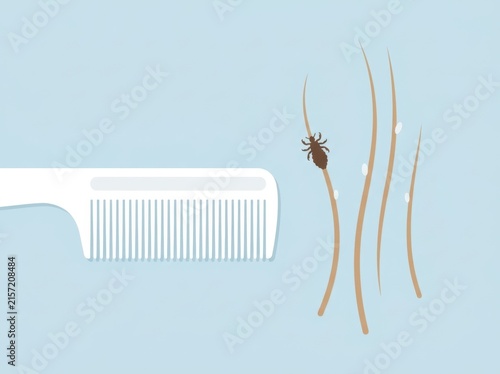 Vector illustration of a nit comb and head louse on hair strands. Lice prevention and treatment concept