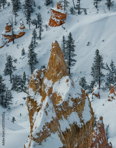 Картината върху платно Snow-covered hoodoos in Bryce Canyon National Park, Utah