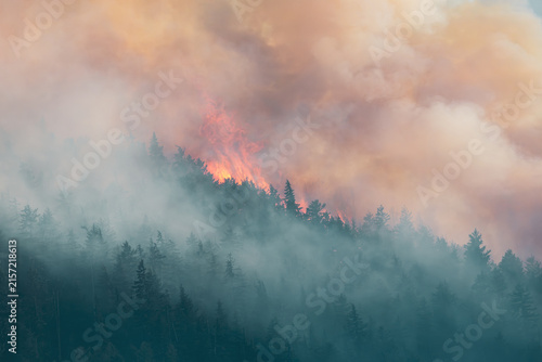 Wildfire Flames And Thick Smoke Engulfing Forest Near Hope, BC, Canada At Dusk