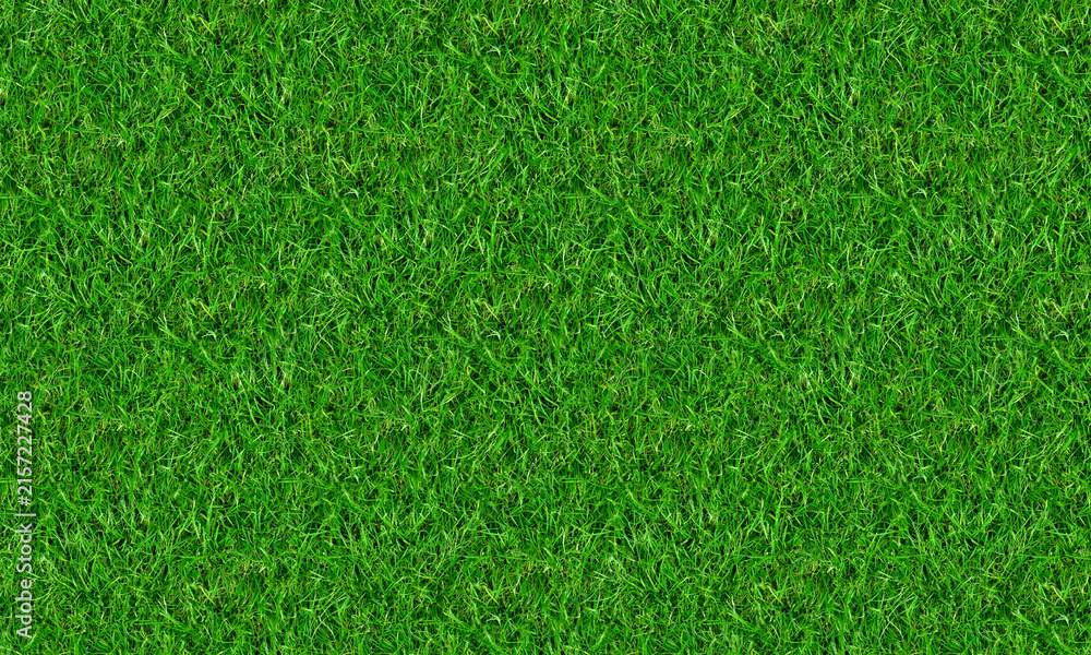 Fototapeta premium Fresh Green Grass Natural Texture Background with Detailed Lawn Surface