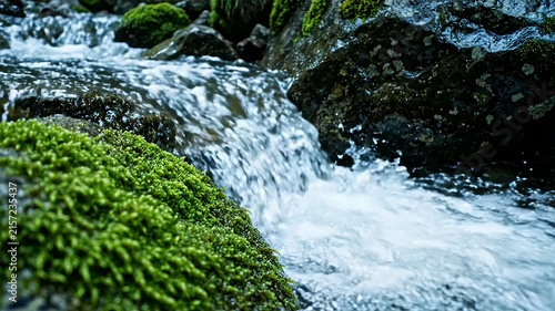 Stream flowing over green mossy rocks in forest
