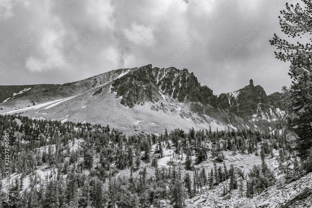 Fototapeta premium High-contrast monochrome photo showing pine covered mountain slopes leading to the jagged crest of Wheeler Peak in Nevada.