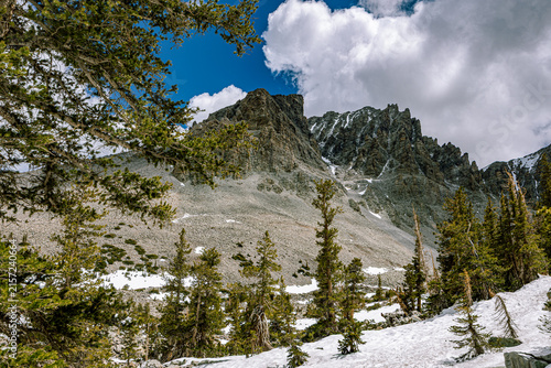 Obraz na płótnie High-altitude pine trees framing a massive rocky mountain cirque with snowfields under bright blue sky and clouds in Nevada