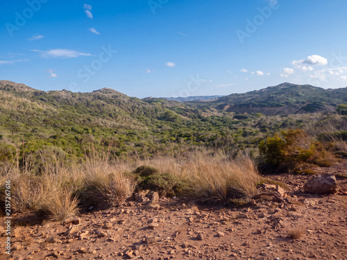 Paysage aride et rocailleux avec collines douces couvertes de broussailles sous un ciel bleu éclatant, terrain sec et sauvage typique de l'outback, nature brute et authentique en plein jour