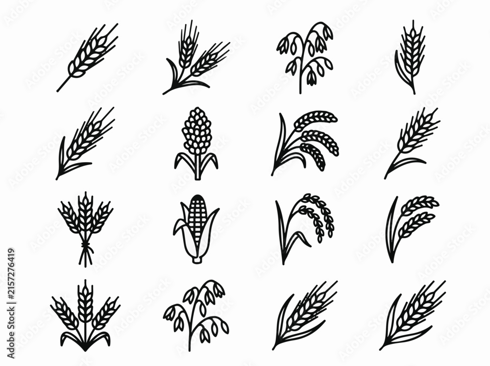 Fototapeta premium Cereal and grain icon set line art vector including wheat rye corn and barley stalks for organic agriculture and farming projects