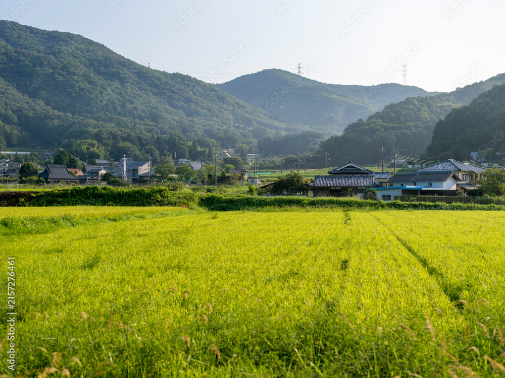 Obraz premium 大阪府の能勢町に広がる田園風景