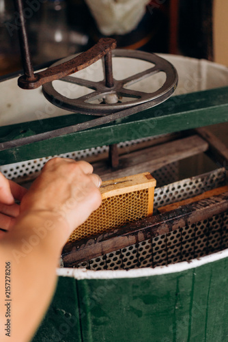 Beekeepers hand extracting natural honey from honeycomb