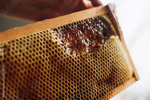 Honeycomb frame showing fresh raw honey production