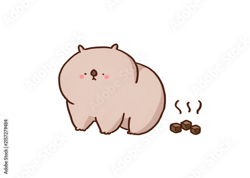 Canvas Print Wombat excreting cube-shaped feces