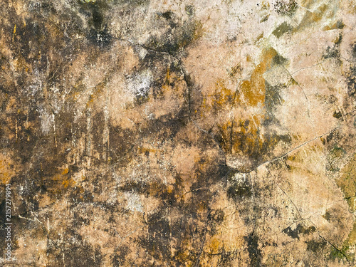 Foto Textured old concrete wall covered in green moss, black mold, and peeling paint
