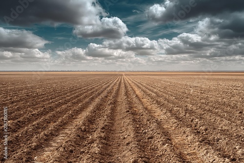 Ploughed agricultural field with deep furrows extending to distant horizon under dramatic cloudy sky