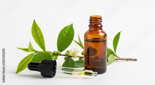 Fresh green tea tree branch lying next to a dark glass essential oil bottle with a dropper, isolated on a clean white background for spa, sprig, green, tea tree